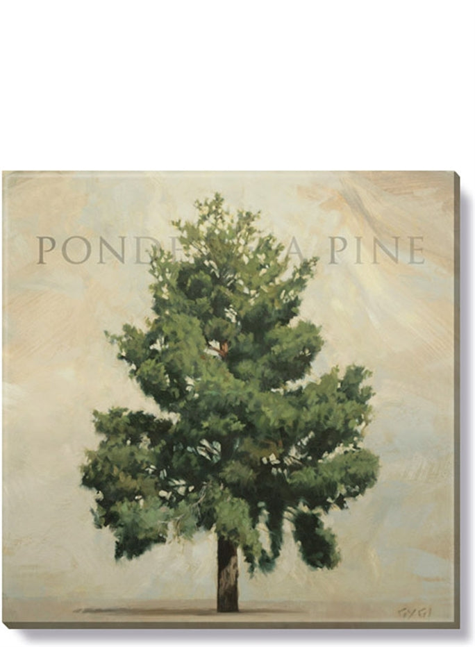 Ponderosa Pine Giclee Wall Art - Farmhouse 208